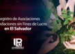 registro de asociaciones y fundaciones sin fines de lucro el salvador